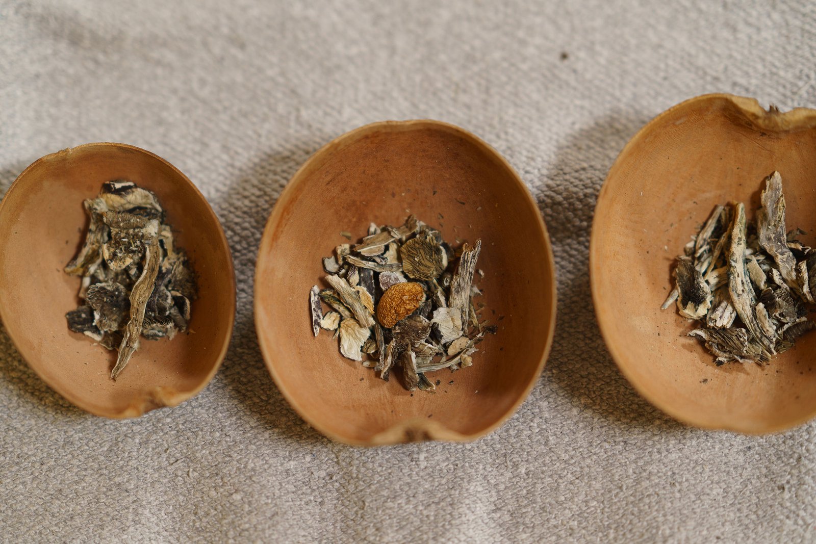 Psilocybin Ceremony